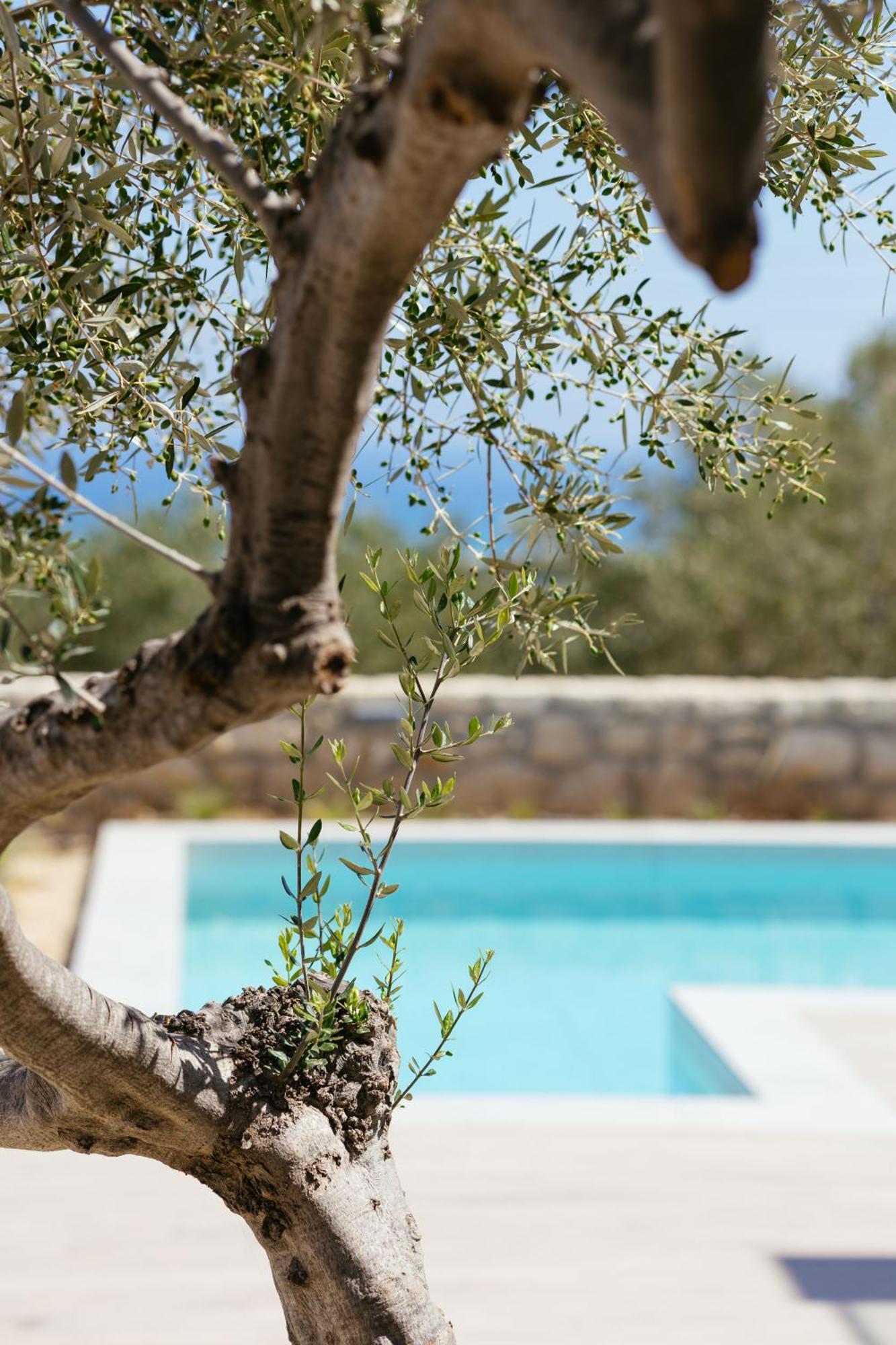 Lily'S Villa Lemonia Platanes  Exterior photo